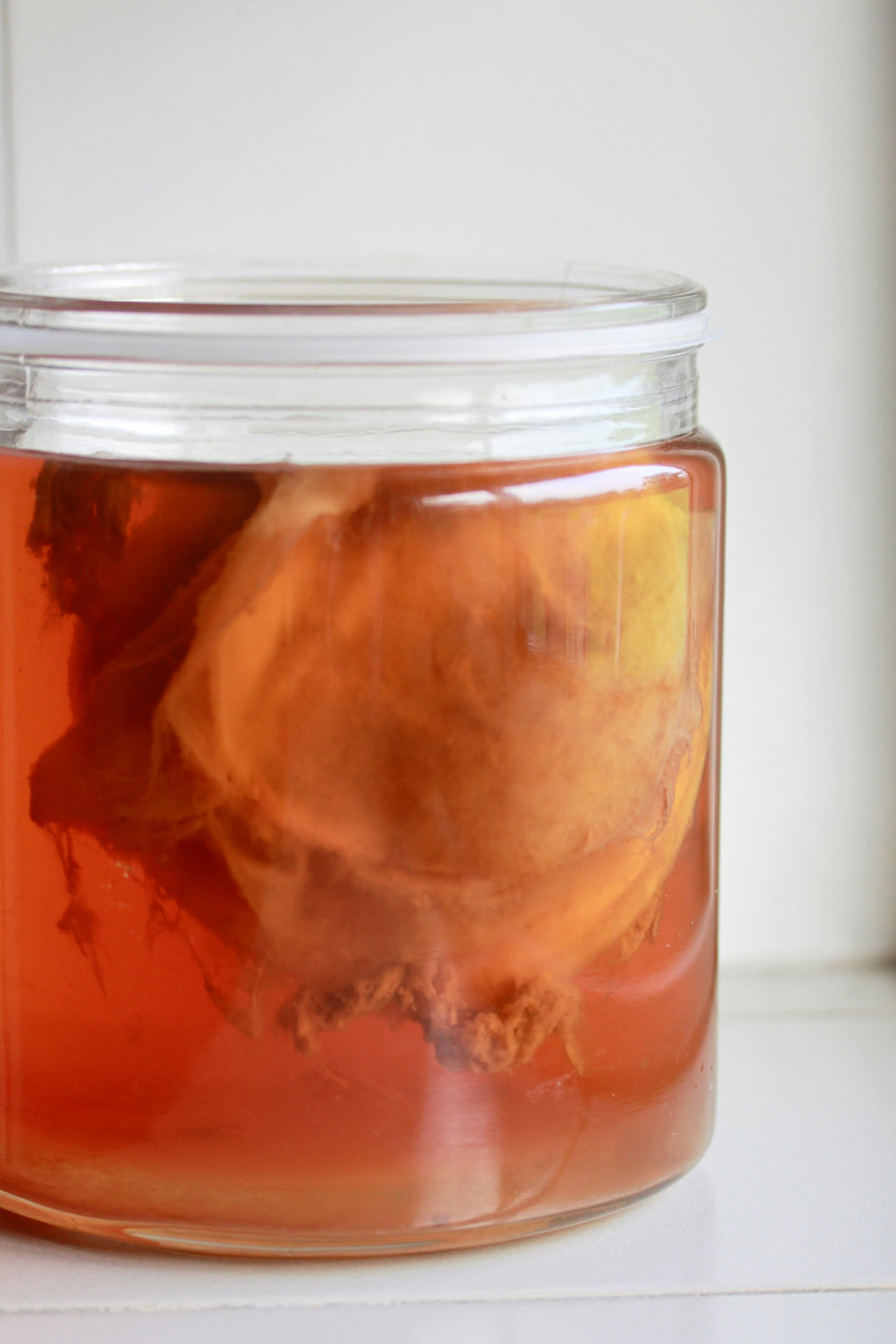 Stage de fermentation Marseille — bocal de fermentation (kombucha) maison