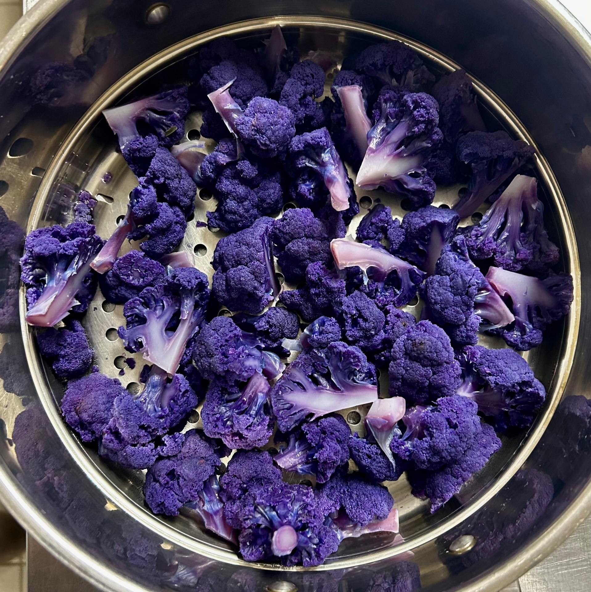 Cuisine végétale en atelier ALIMA